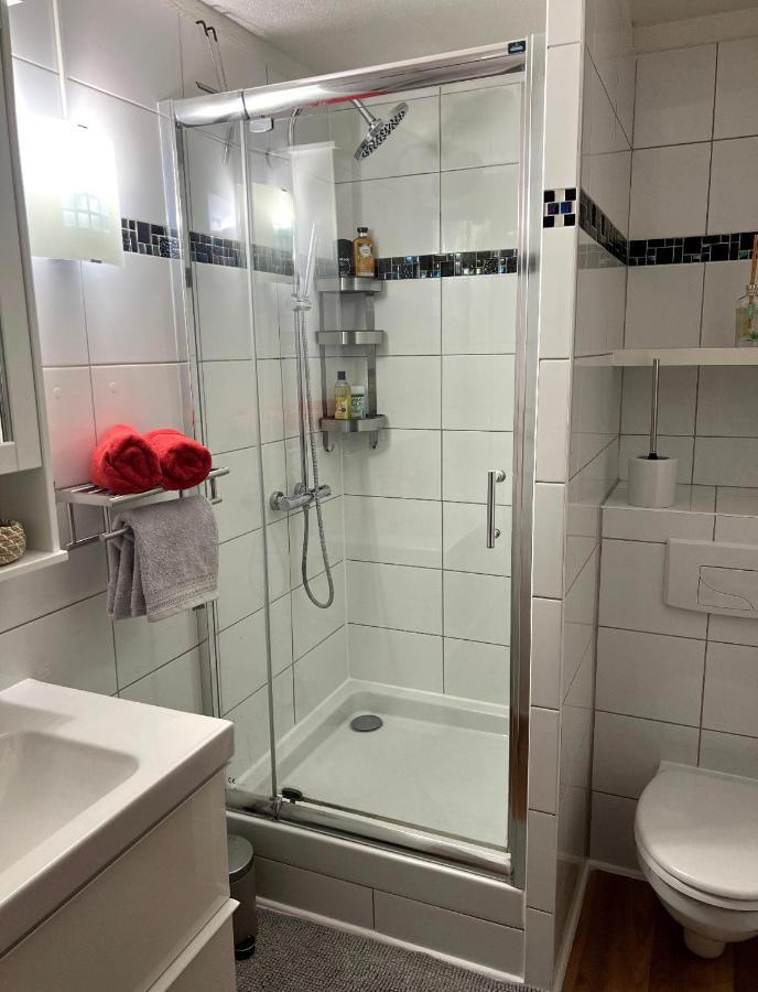 Appartement La Petite Venise Colmar Luaran gambar