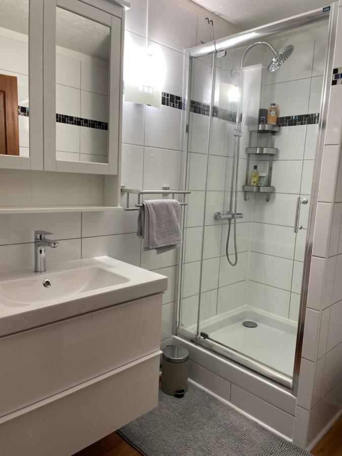 Appartement La Petite Venise Colmar Luaran gambar
